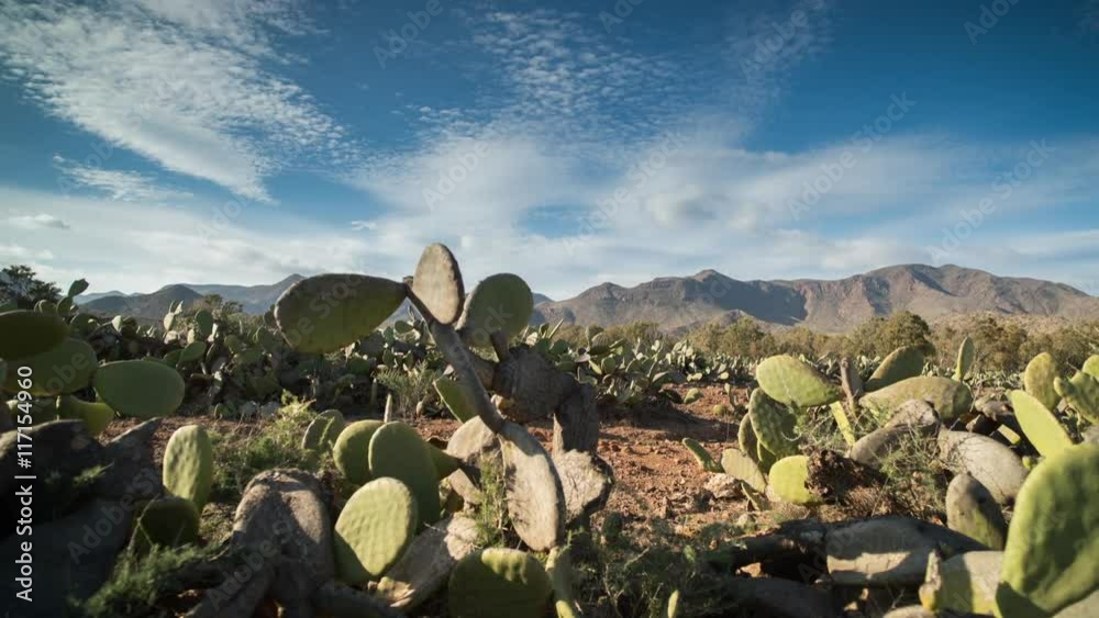 beautiful cabo de gata desert landscape