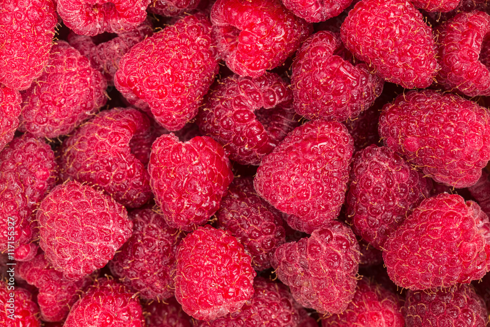 Fresh red raspberries