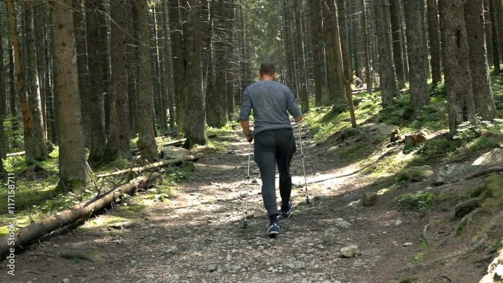 Young man hiking on the forest, super slow motion
Young man hiking on the forest, super slow motion