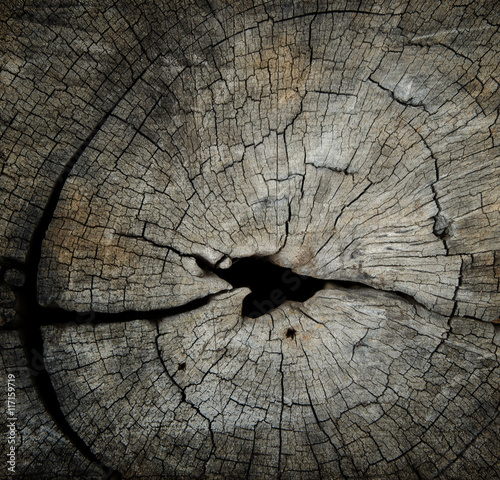 textural wooden old background in cracks