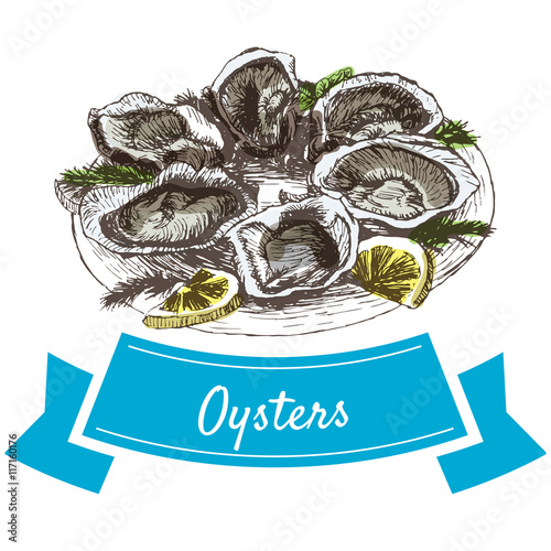 Vector illustration colorful set with oysters