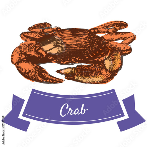 Vector illustration colorful set with crab