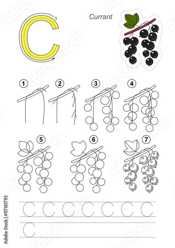 Drawing tutorial. Game for letter C. Blackcurrant.