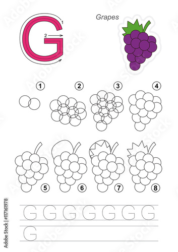 Drawing tutorial. Game for letter G. Grapes.