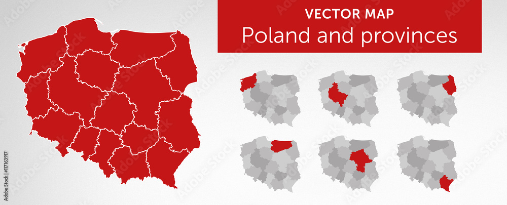 Fototapeta Mapa wektorowa kraju Polska i województwa vol.2