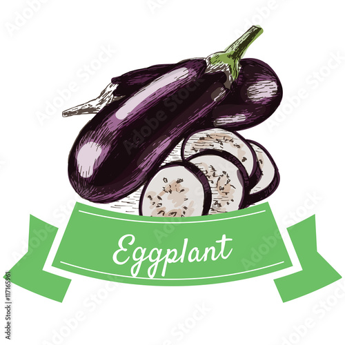 Vector illustration colorful set with eggplant