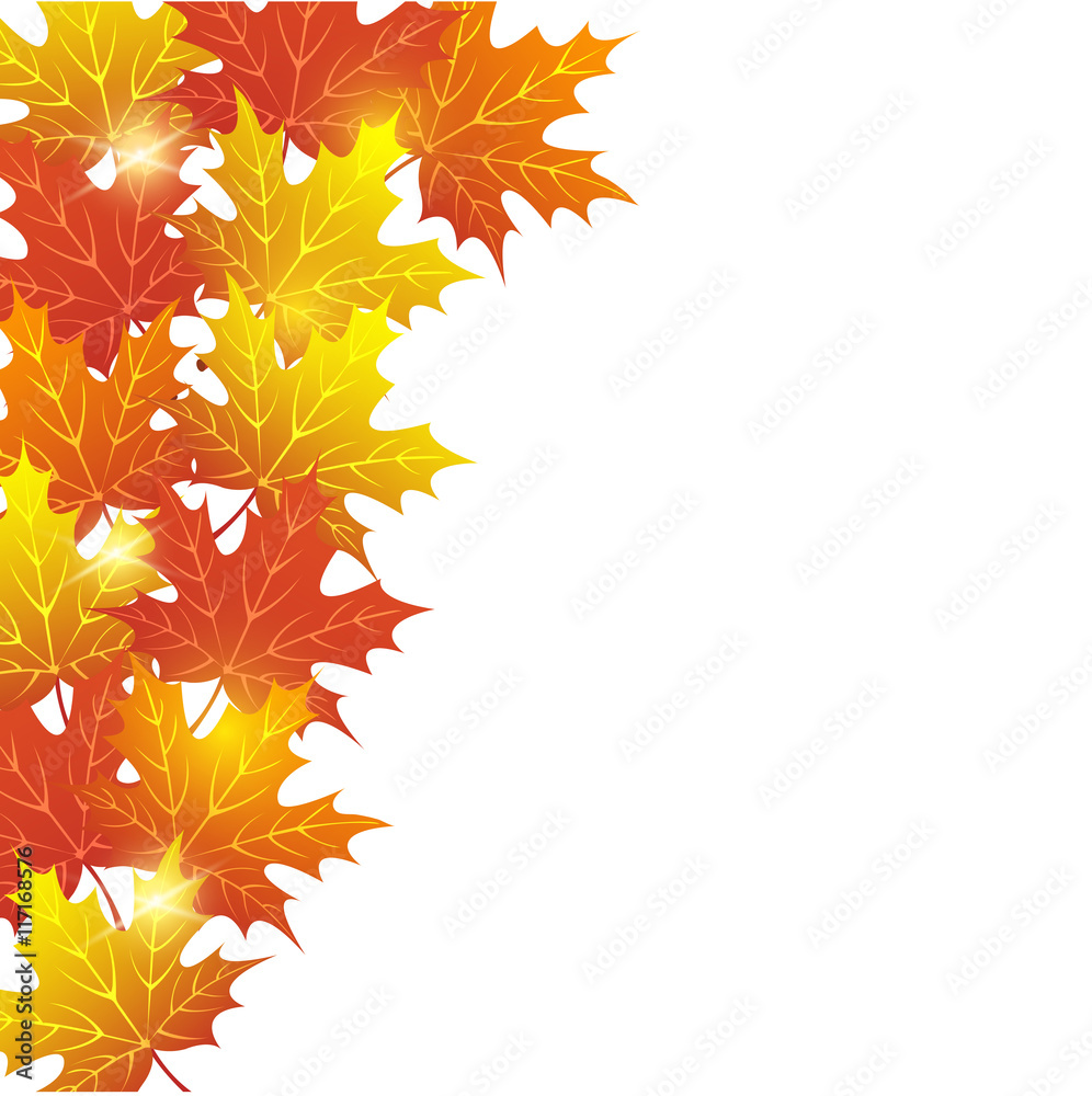 Autumn Autumn
