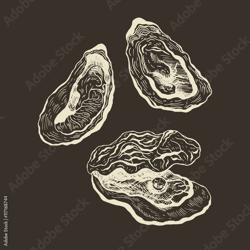 Oysters vintage vector set.