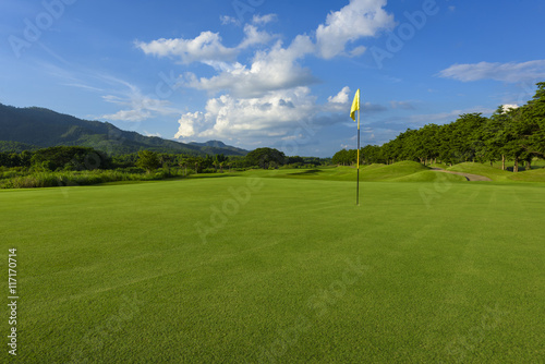 golf course and yellow flag,green fields and blue sky