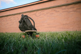 Black Bag on longboard wich stay on grass with red brick wall background.