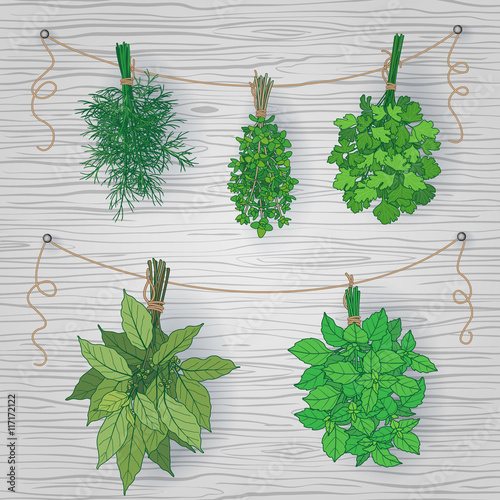 Bundles of  flavoring  herbs on wooden background