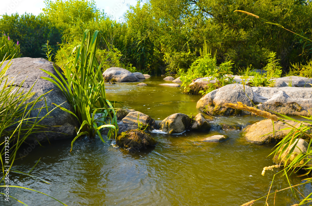 Landscape with forest, river and stones in Ukraine Landscape with forest, river and stones in Ukraine