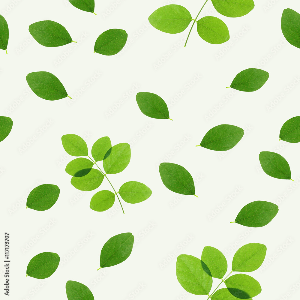 Fototapeta green leaves on white background (seamless pattern) for natural concept