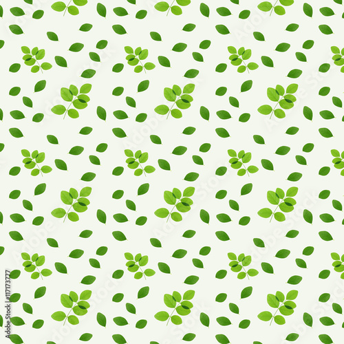 green leaves on white background for natural concept    