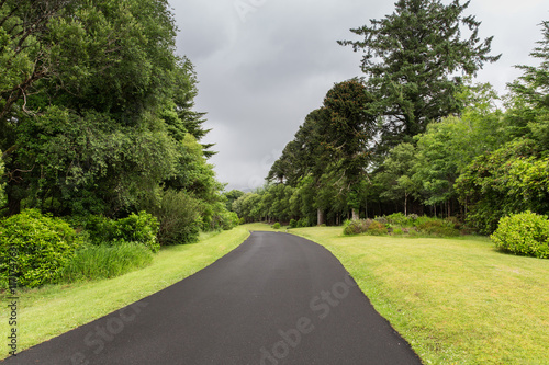 asphalt road at connemara in ireland photo