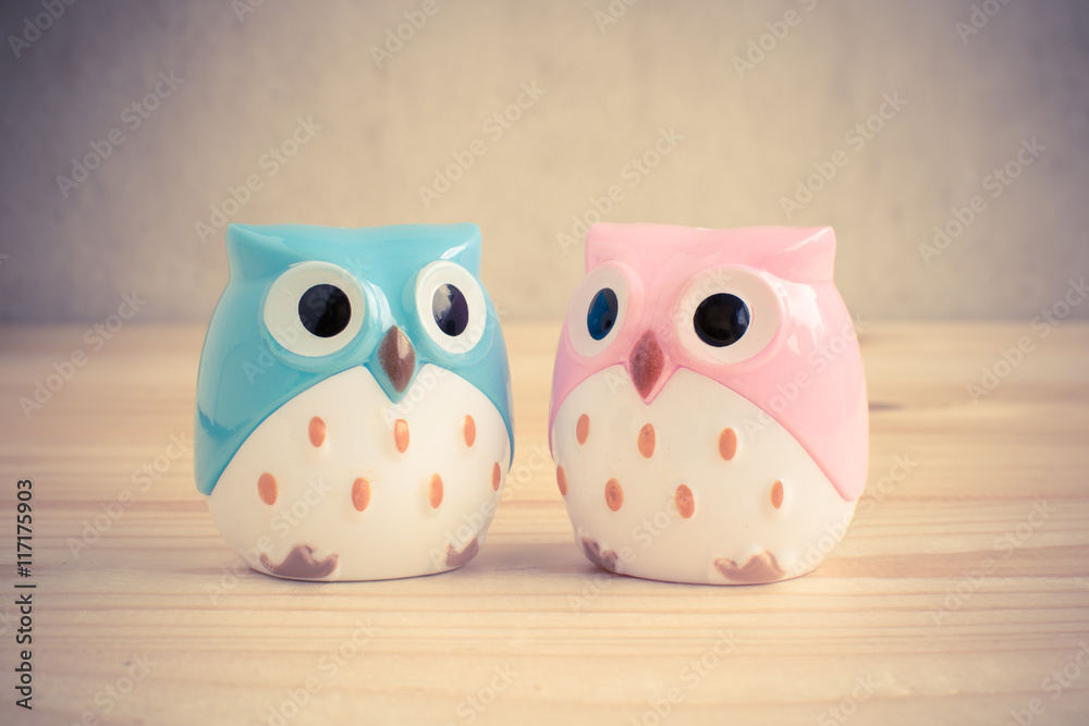 Obraz premium Two owl cartoon on wood table - Vintage retro picture style