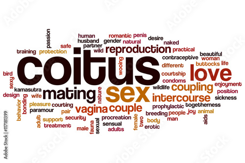 Coitus word cloud concept