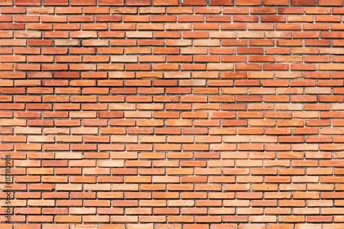 brick wall as a nicely textured background.