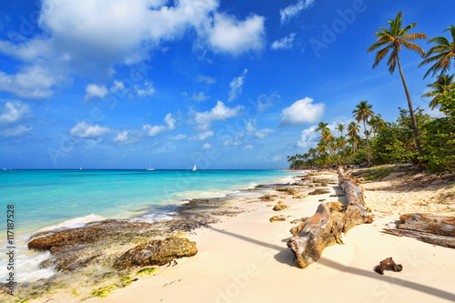 Tropical beach in Dominican Republic.
