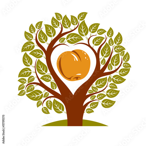 Vector illustration of tree with branches in the shape of heart