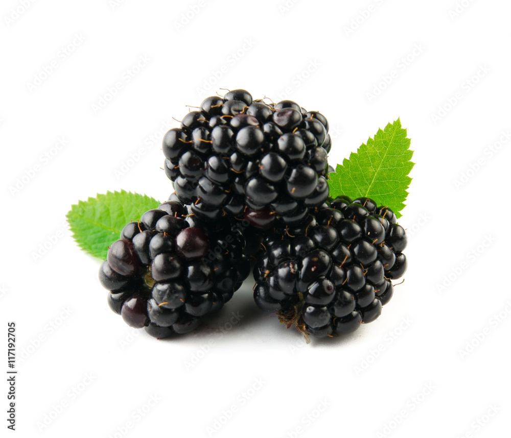 Blackberry with leaves isolated on white.
