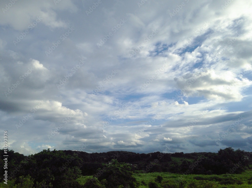 Obraz premium green field and sky