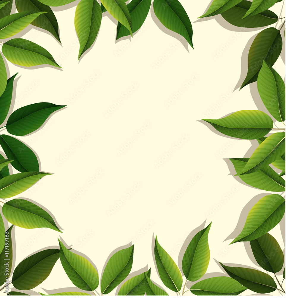 Frame design with green leaves Frame design with green leaves