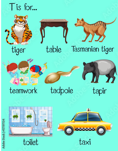 Many words begin with letter T
