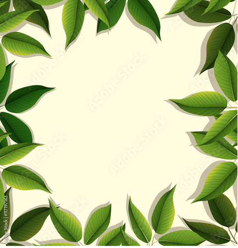 Frame design with green leaves