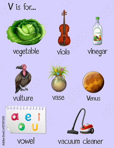 Words begin with letter V