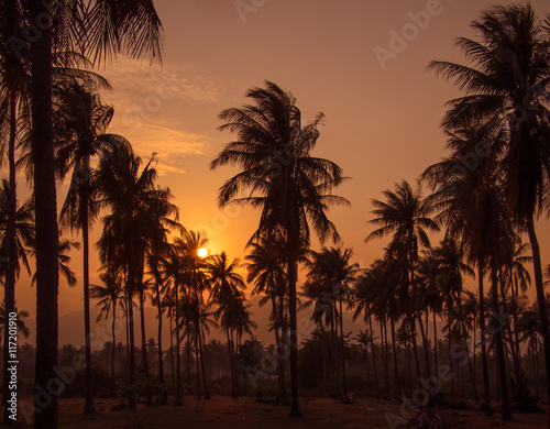 Toned image of a beautiful sunset on the background of silhouettes of palm trees