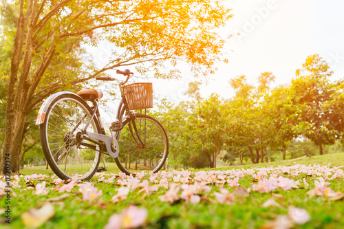 Beautiful landscape of vintage bicycle and flowers