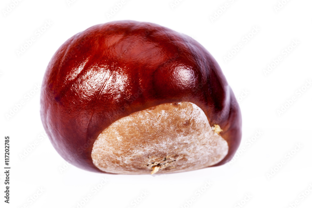 Single chestnuts isolated on white background, close up Single chestnuts isolated on white background, close up