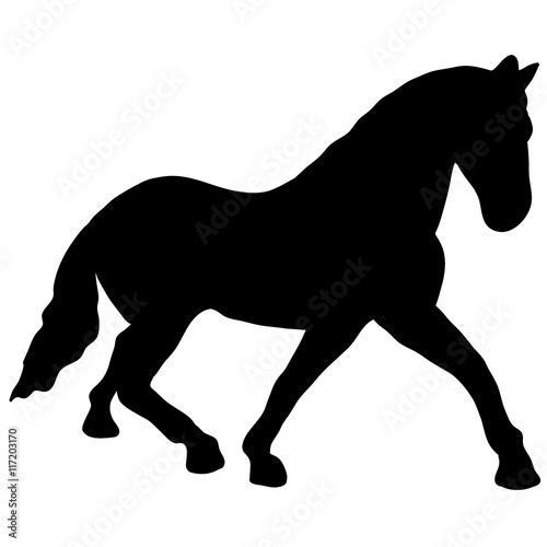 black horse silhouette. Vector animal