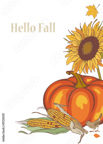 harvest corn, sunflower and pumpkin