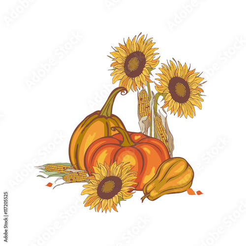 harvest corn, sunflower and pumpkin