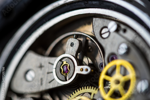 Vintage watch part close-up, showing regulator, spring and ruby jewel.