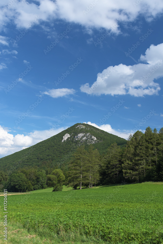 The Alps in area near Wiener Neustadt The Alps in area near Wiener Neustadt