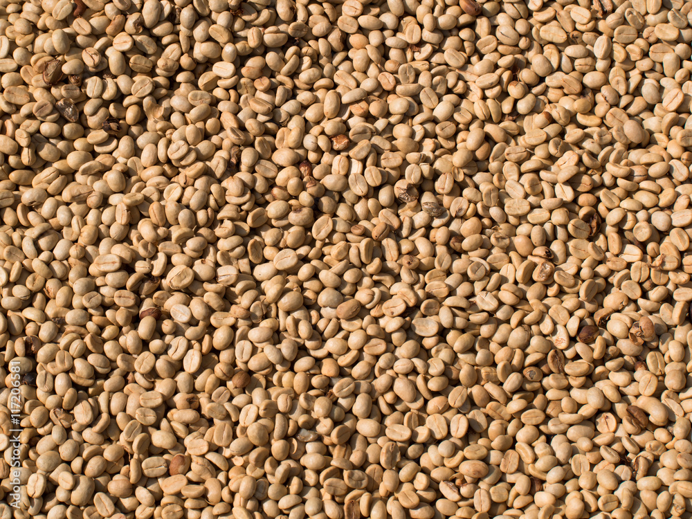 Not fried grains of raw coffee closeup