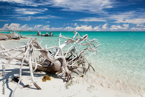 Canvas Print Cuba - Cayo Largo