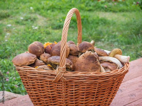 a big basket full of forest mushrooms outdoors