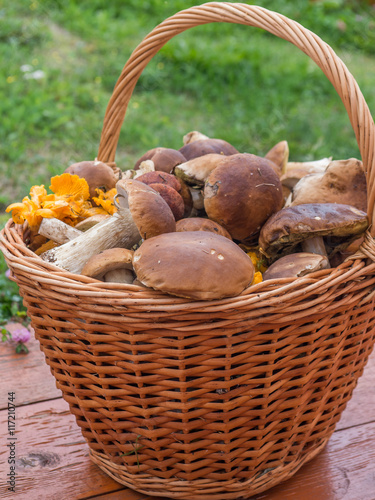 basket full of fresh forest mushrooms on wooden surface