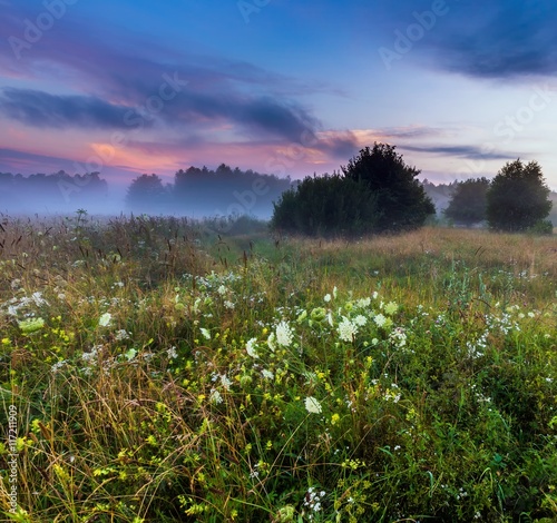 Dziki mglisty krajobraz łąka