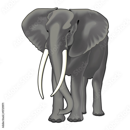 Eléphant.