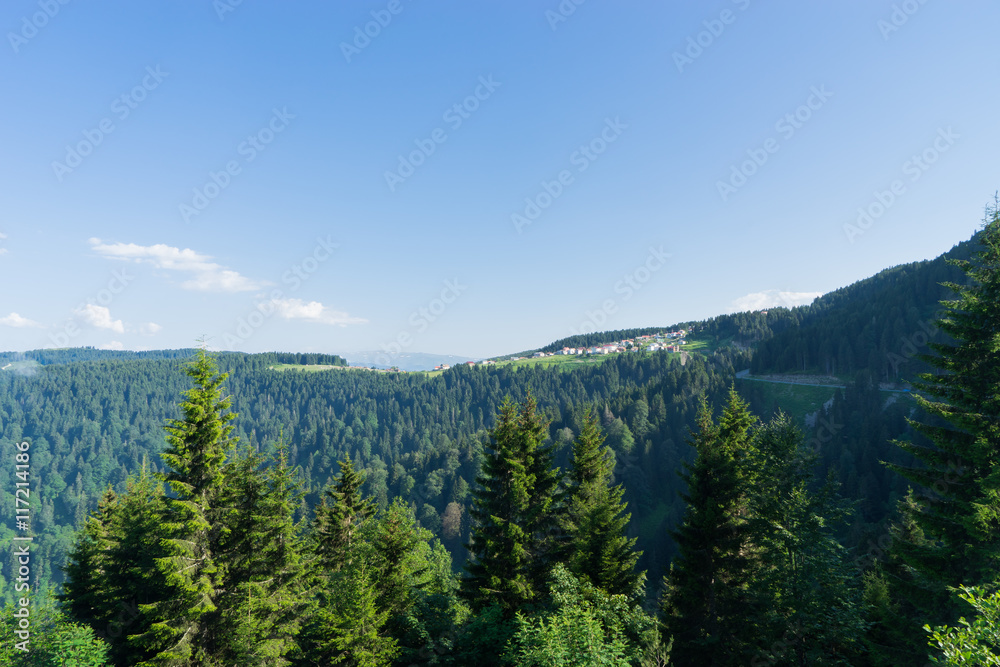 Summer Mountain view to Highland Giresun - Turkey