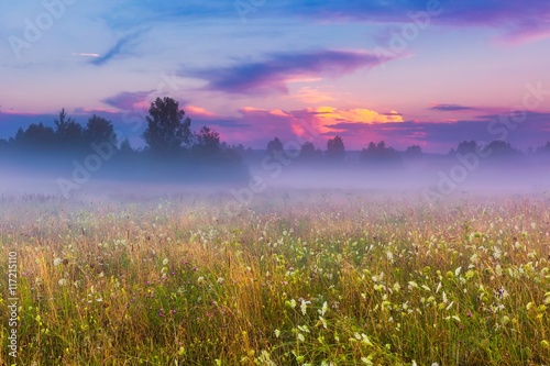 Dziki mglisty krajobraz łąka
