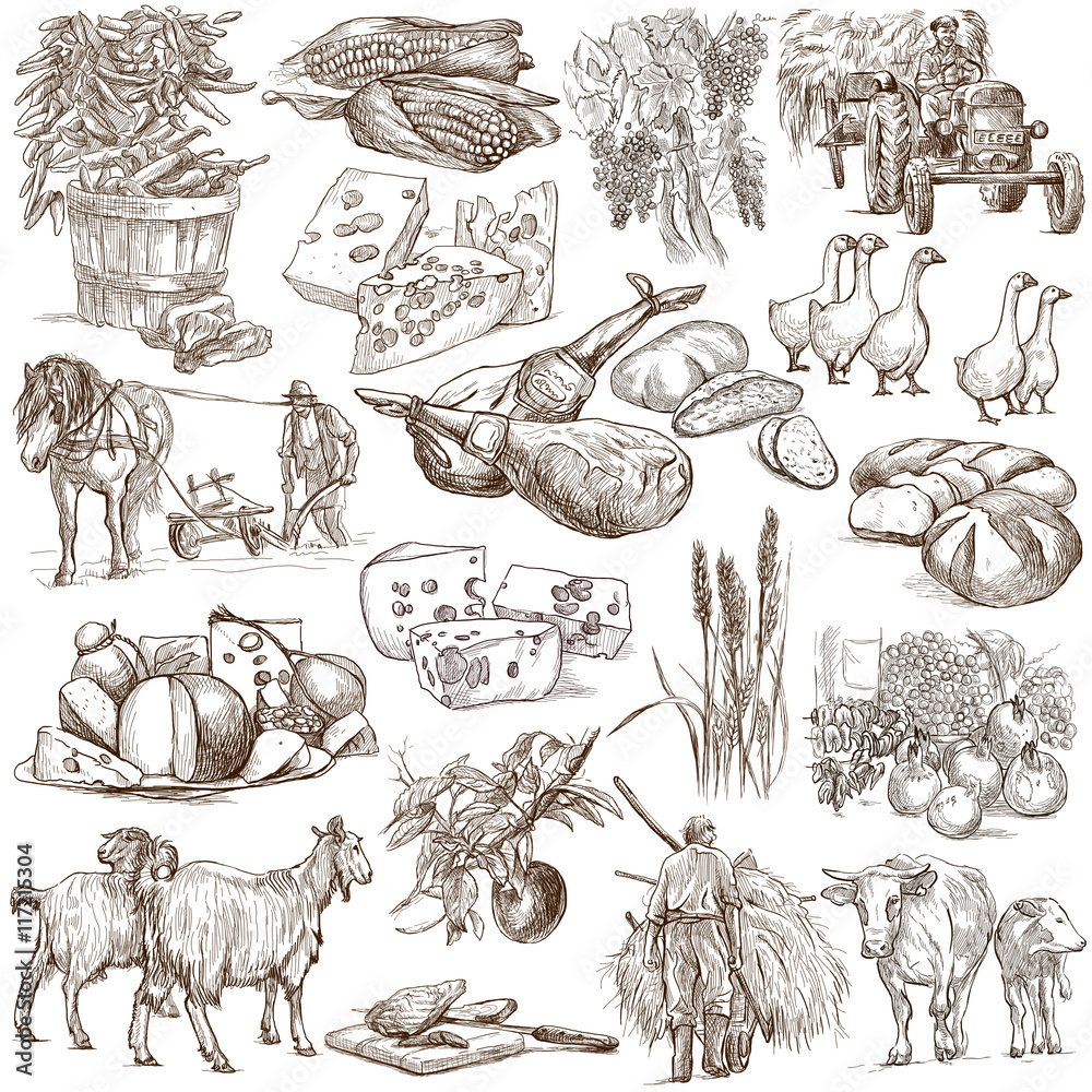 Agricultural drawing hi-res stock photography and images - Alamy