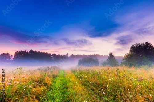Wild foggy meadow landscape © milosz_g