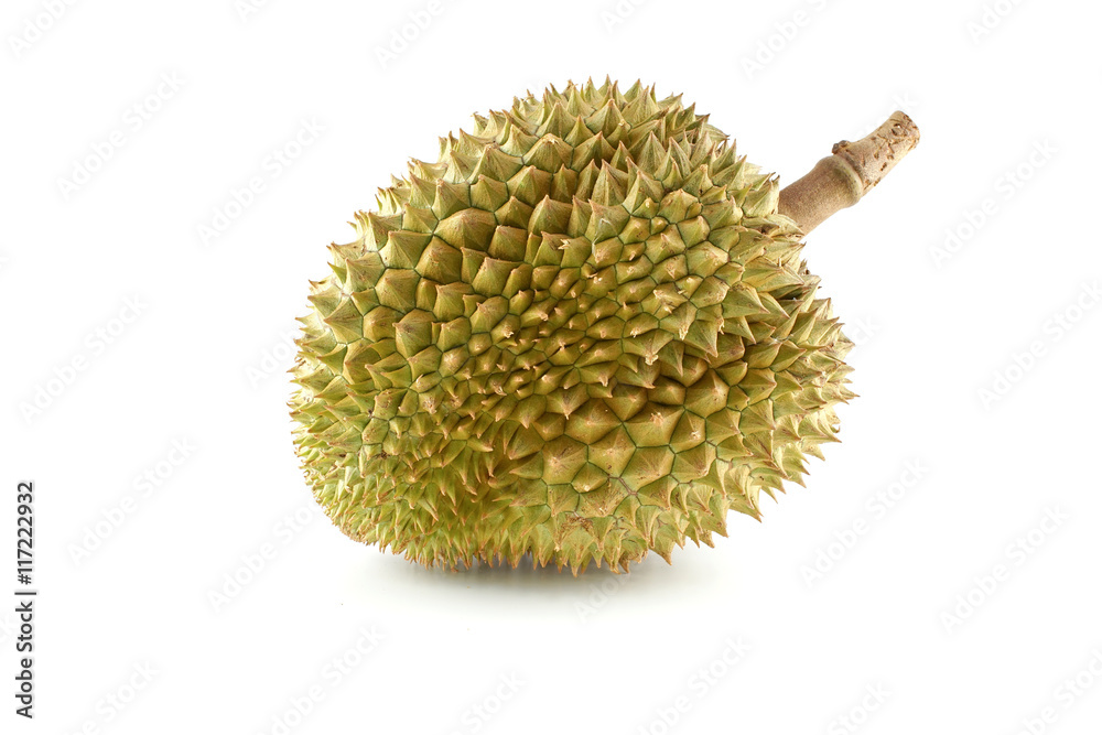 Durian Isolated, White Background Durian Isolated, White Background