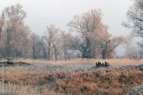 Wallpaper Mural The arrival of winter Torontodigital.ca